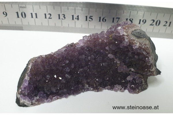 Amethyst Drusenstück  Uruquay